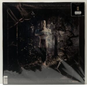 Feet of Clay (USED LP)