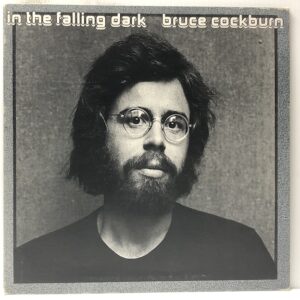 In The Falling Dark (USED LP)