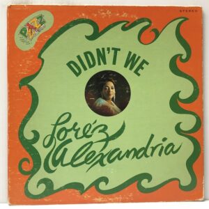 Didnt We (USED LP)
