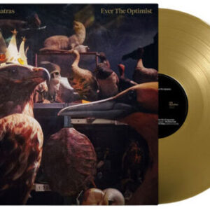 Ever the Optimist (NEW LP)