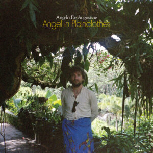 Angel in Plainclothes (New LP)