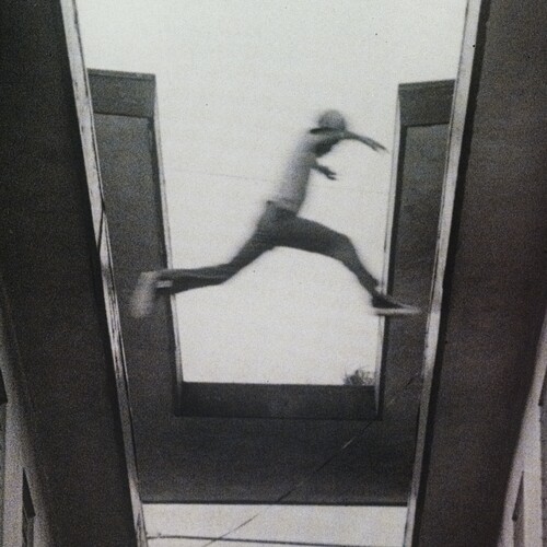 The Ecstatic (New LP)