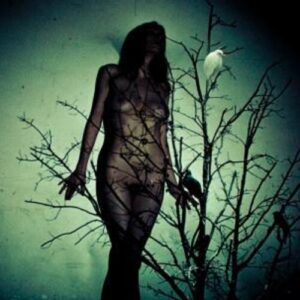 An Ache For The Distance (NEW LP)