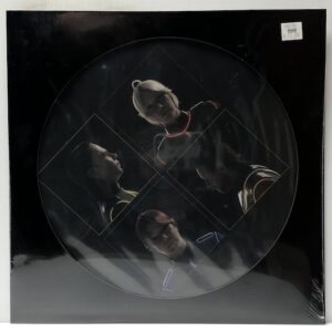 Voyage alternate picture disc (USED LP)