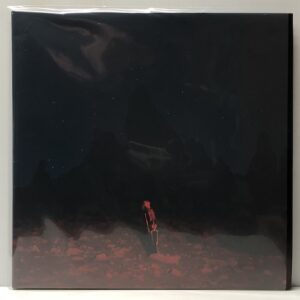 Punisher (USED LP)