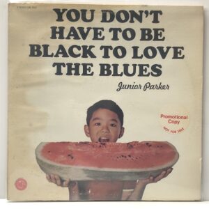 You Dont Have to Be Black to Love the Blues