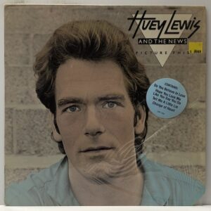 Picture This (USED LP)