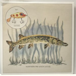 Lay it On Me (USED LP)
