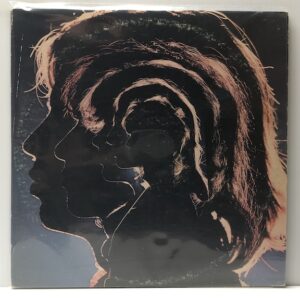 Hot Rocks (USED LP)