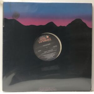 Party Train (USED LP)