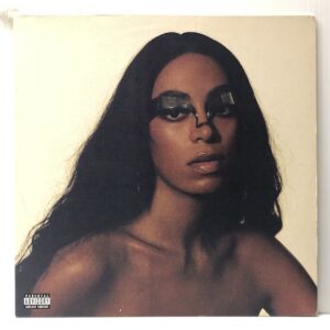 When I Get Home (USED LP)