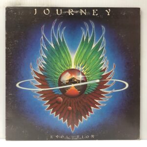 Evolution (USED LP)