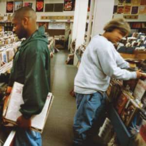 Endtroducing..... (New LP)