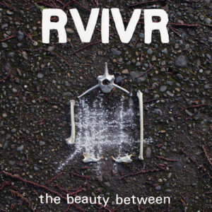 The Beauty Between (New LP)