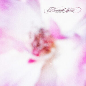 Switchbacks (New LP)