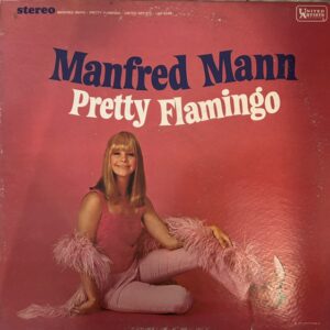 Pretty Flamingo