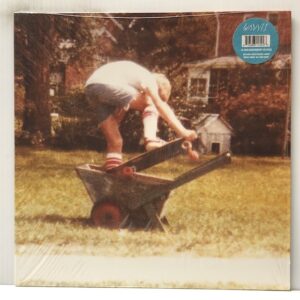 Wavves (USED LP)