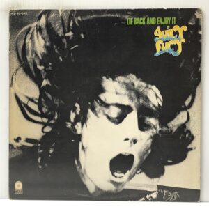 Lie Back and Enjoy It (USED LP)