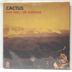 One Way or Another (USED LP)