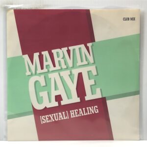 Sexual Healing Club Mix (USED LP)