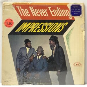 Never Ending Impressions (USED LP)