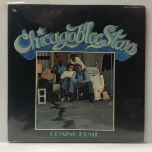 Coming Home (USED LP)