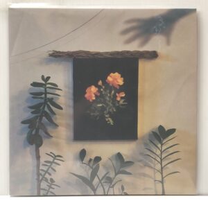 Well I Fell Into (USED LP)
