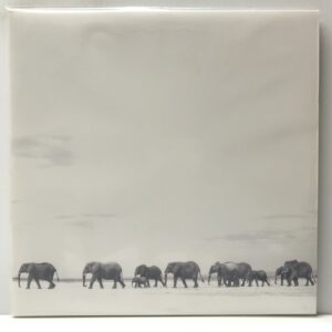 Where Are You Going (USED LP)