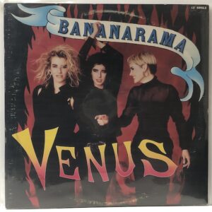 Venus/White Train (USED LP)