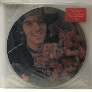 Exploding in Silence picture disc (USED LP)