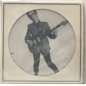 Elvis Costello picture disc (USED LP)