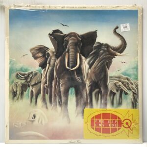Armed Forces (USED LP)