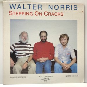 Stepping on Cracks (USED LP)