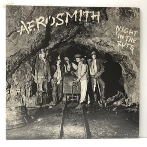 Night In the Ruts (USED LP)