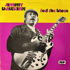 Feel the Blues (USED LP)