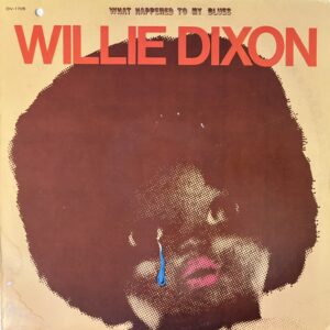 What Happened To My Blues (USED LP)