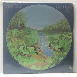 Tallest Trees (USED LP)