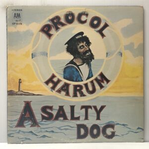 Salty Dog (USED LP)