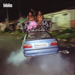 Mzansi Bass (NEW LP)