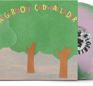 Some Kind Of Cadwallader (NEW LP)