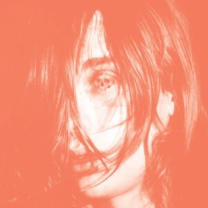 Microcastle (NEW LP)