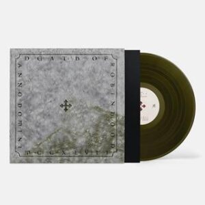 Death of Robin Hood (New LP)