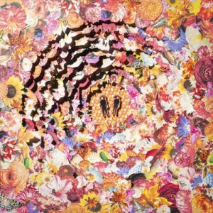 The Bimbonacci Sequence (New LP)