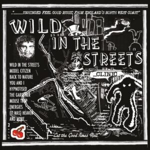 Wild in the Streets (New LP)