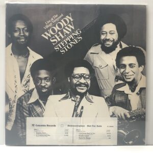 Stepping Stones (USED LP)
