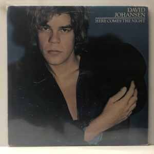 Here Comes The Night (USED LP)