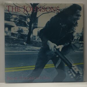 Break Tomorrows Day (USED LP)