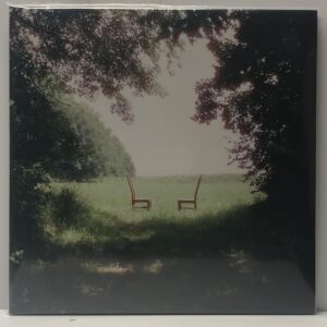 Singin to an Empty Chair (USED LP)