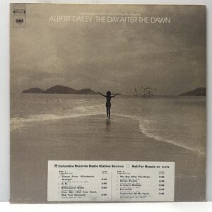Day After the Dawn (USED LP)