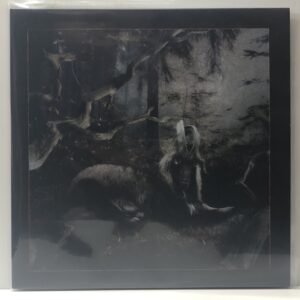 Feet of Clay (USED LP)